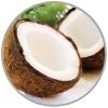 Bio Rohstoff Kokosöl Biokosmetik