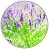 Bio Lavendelöl AOP Naturkosmetik