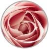 Bio Rosenöl Rose Öl Naturkosmetik
